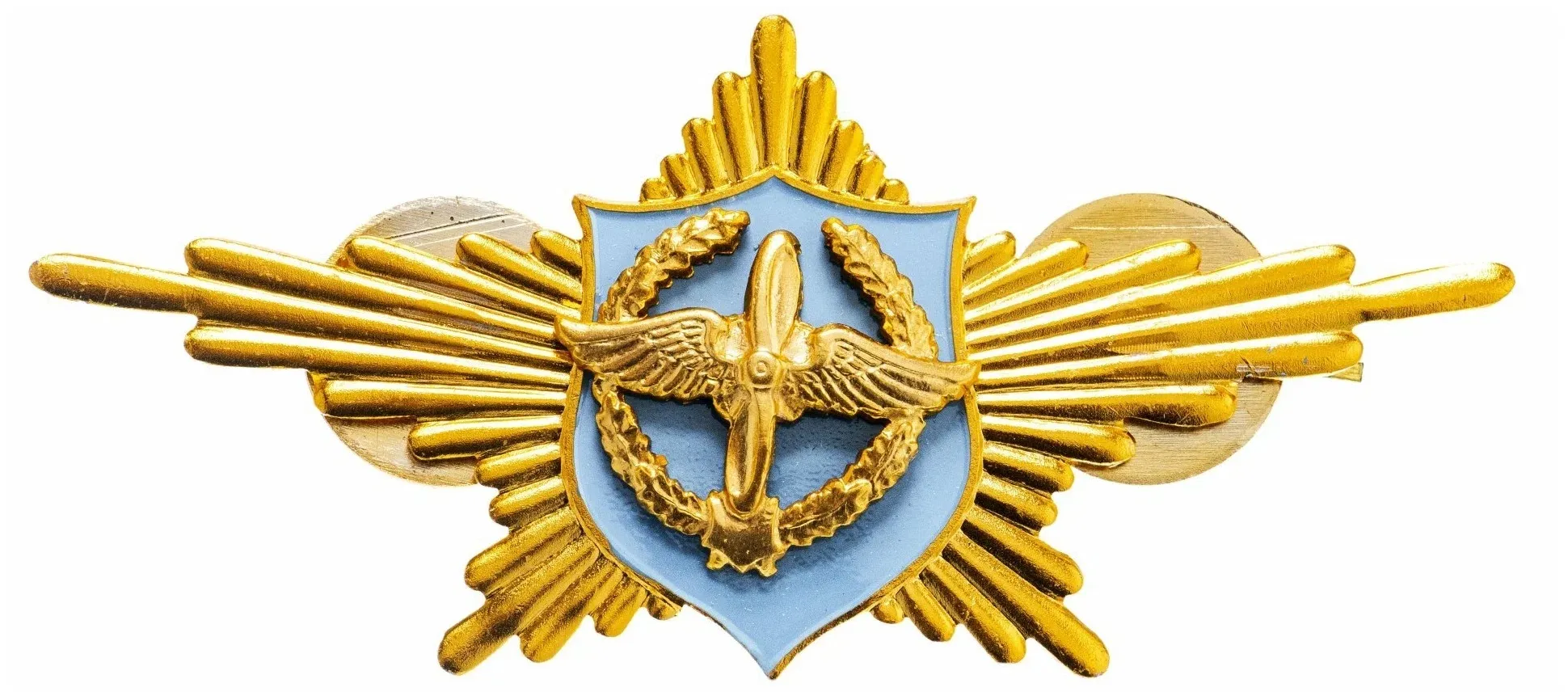 Знак (Оригинал РФ) Рота почетного караула ВВС
