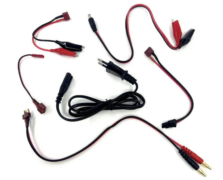 Зарядное устройство (BlueMAX) Dual Power Pro Smart Charger_4