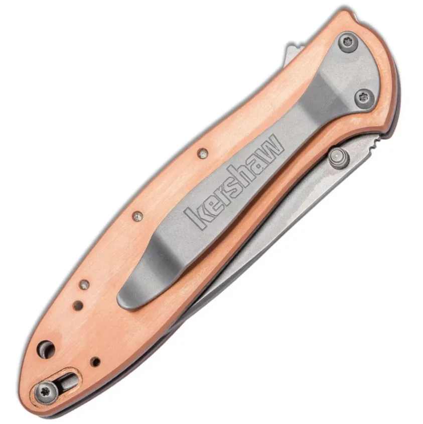 Складной нож (Kershaw) Leek 1660CU2