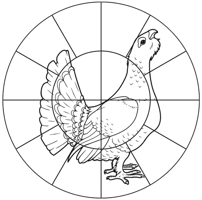 Мишень Глухарь (Бумага, 16 зон, Полноцветный, 800x800мм)