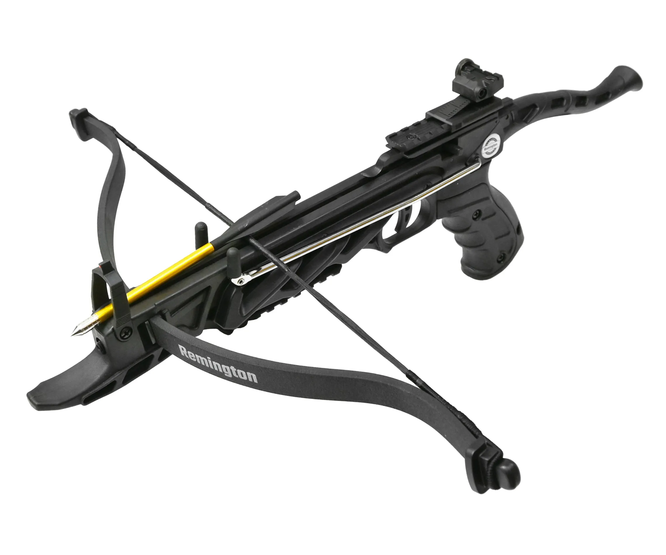 R-APMB2