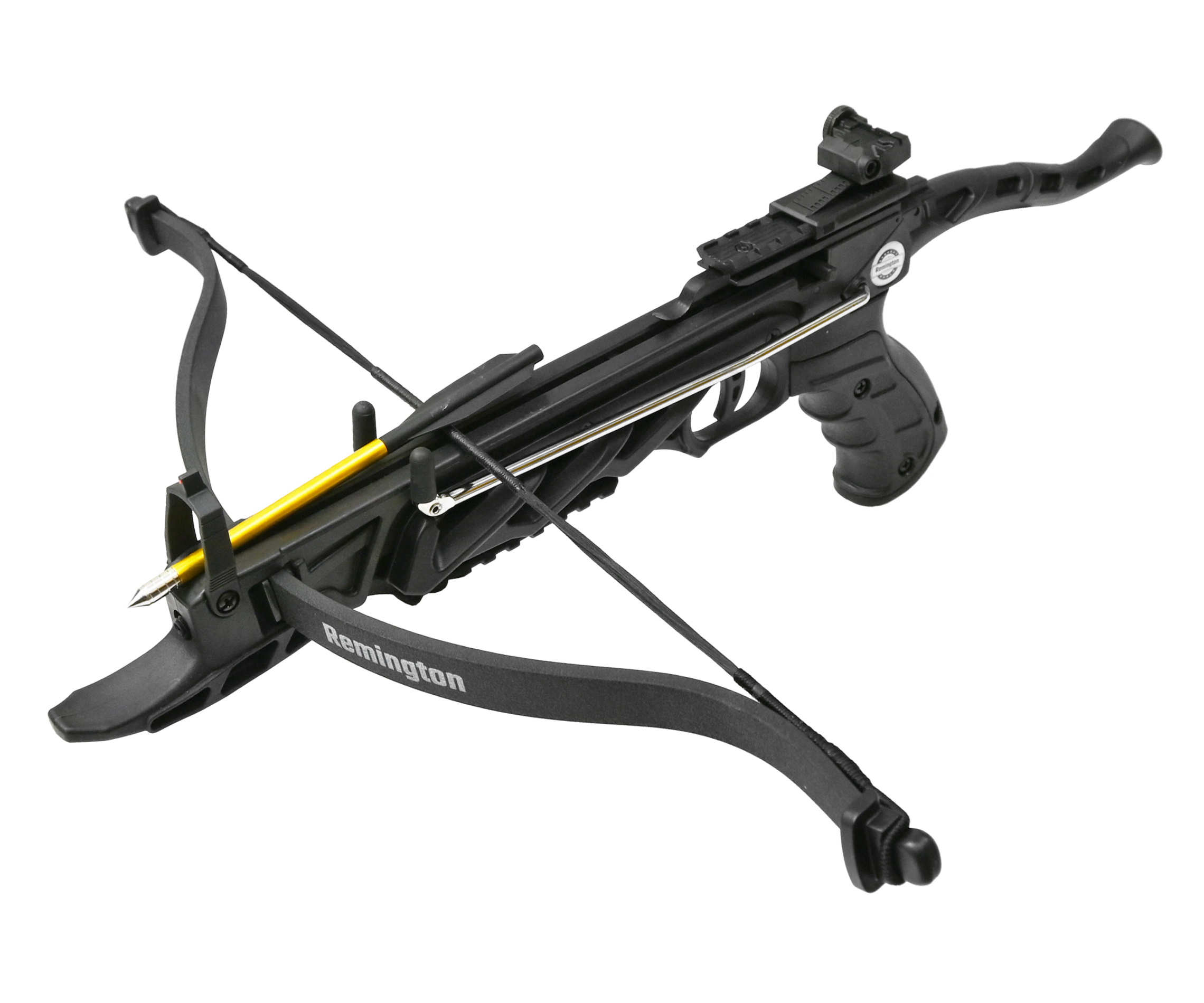 R-APMB2