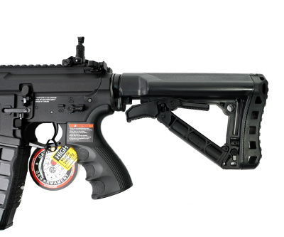 EGC-WLD-135-BNB-NCM - 5