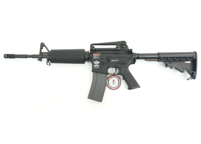 EGC-16P-CAR-BNB-NCM - 3