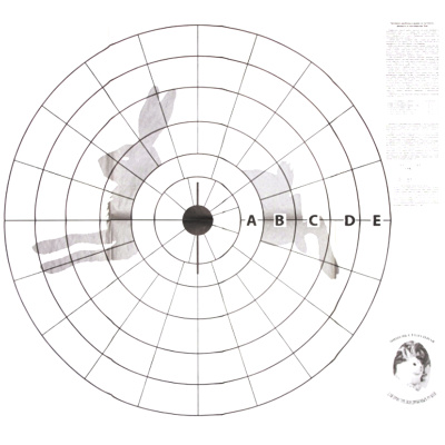 00001900502 - 2